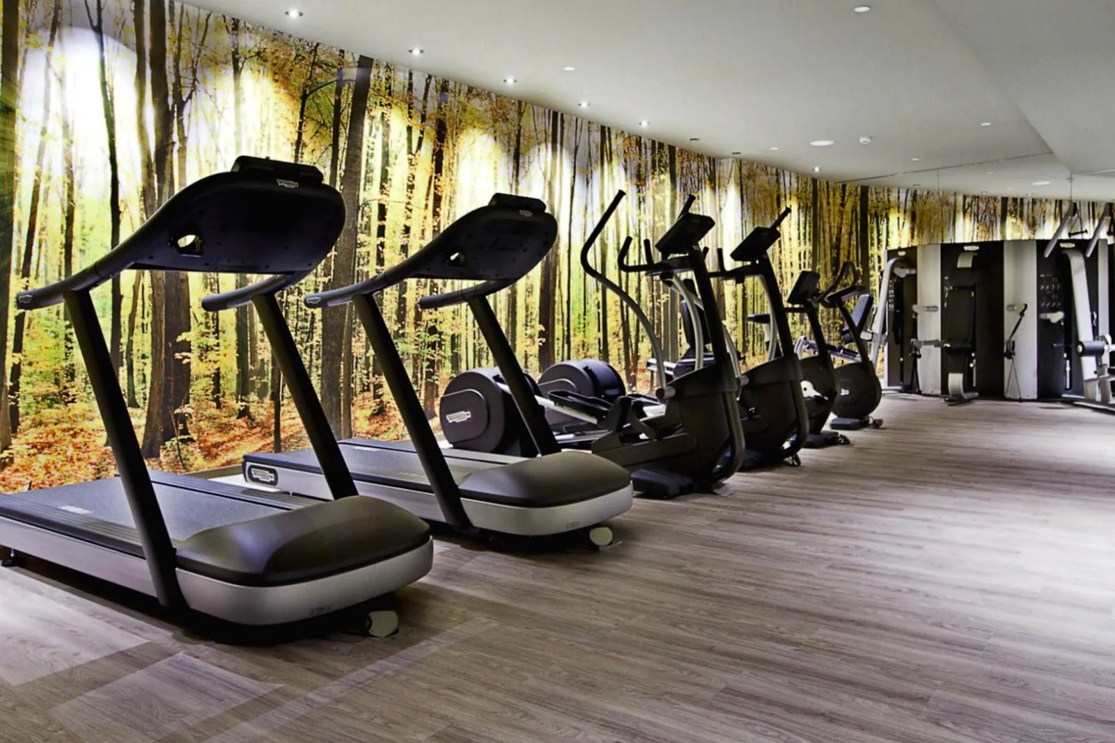 Hotel Sb Plaza Europa L'Hospitalet de Llobregat 4*,